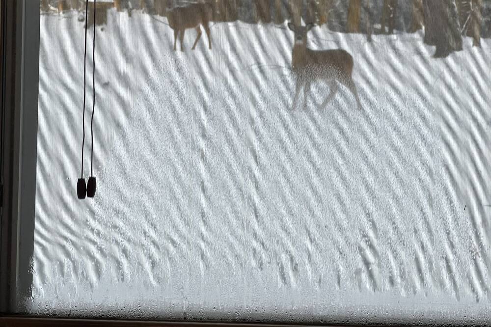 Photo of Others in Boonville