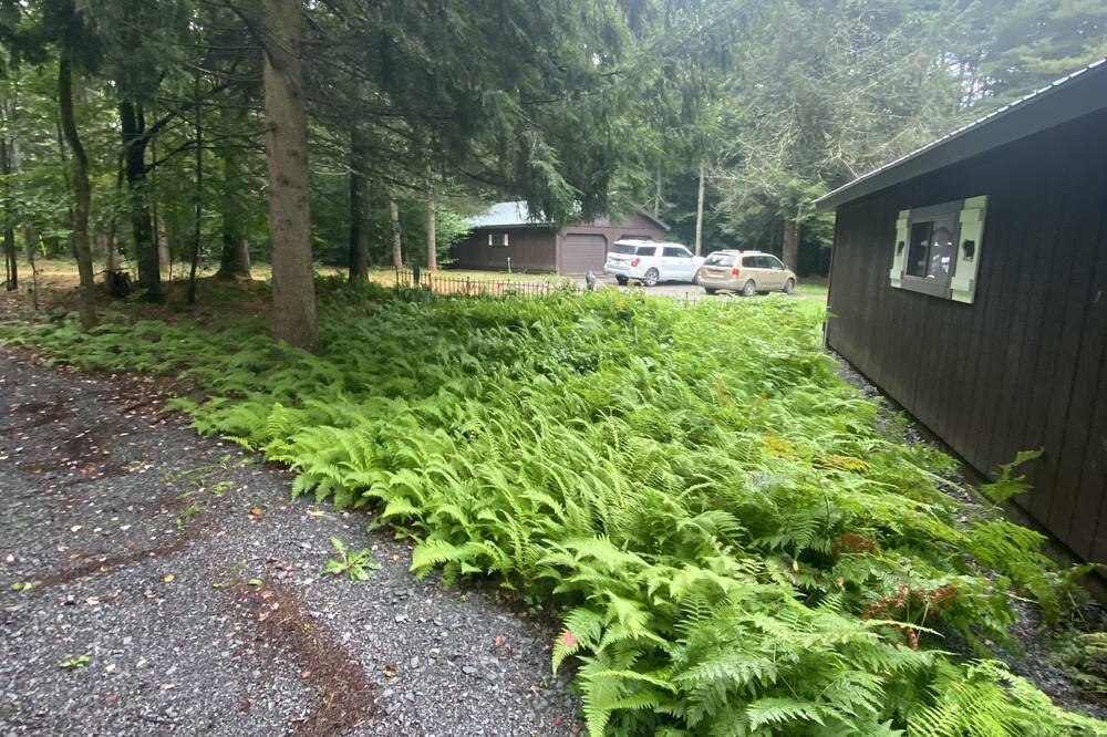 Photo of Outdoor in Boonville