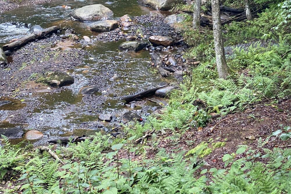 Photo of Outdoor in Boonville