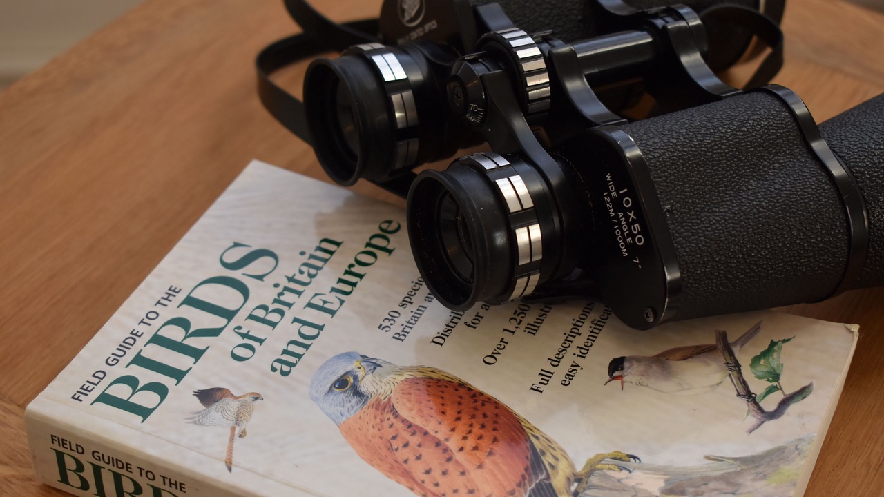 Photo of Others in Camber