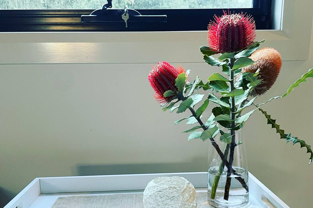 Photo of Kitchen in Connewarre