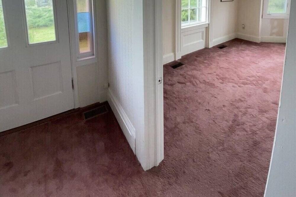 Photo of Others in Shelburne County