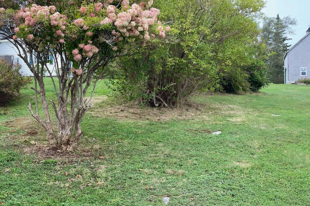 Photo of Outdoor in Shelburne County