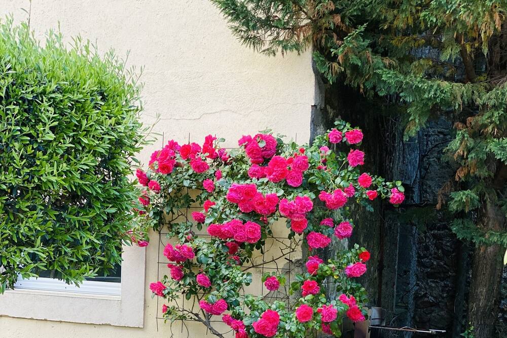 Photo of Patio Balcony in Roujan