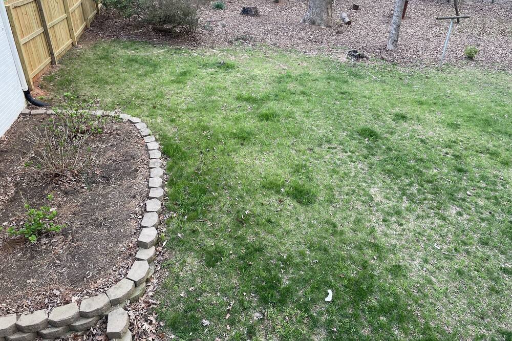 Photo of Outdoor in Raleigh