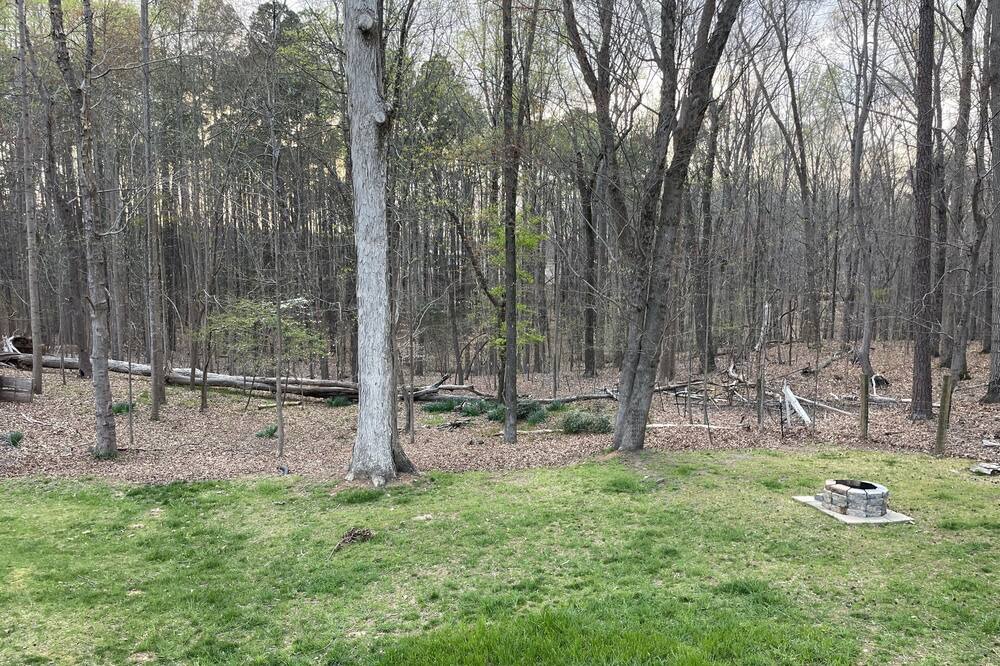 Photo of Outdoor in Raleigh