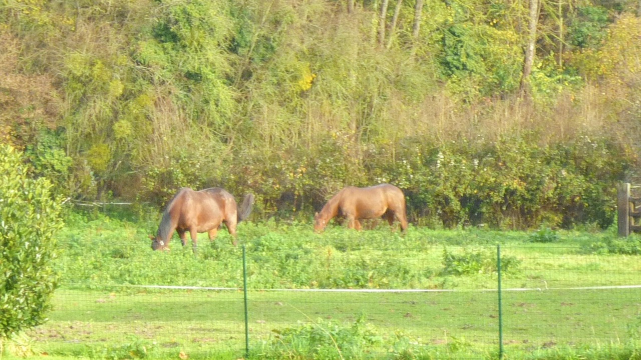 Photo of Others in Touffreville-sur-Eu