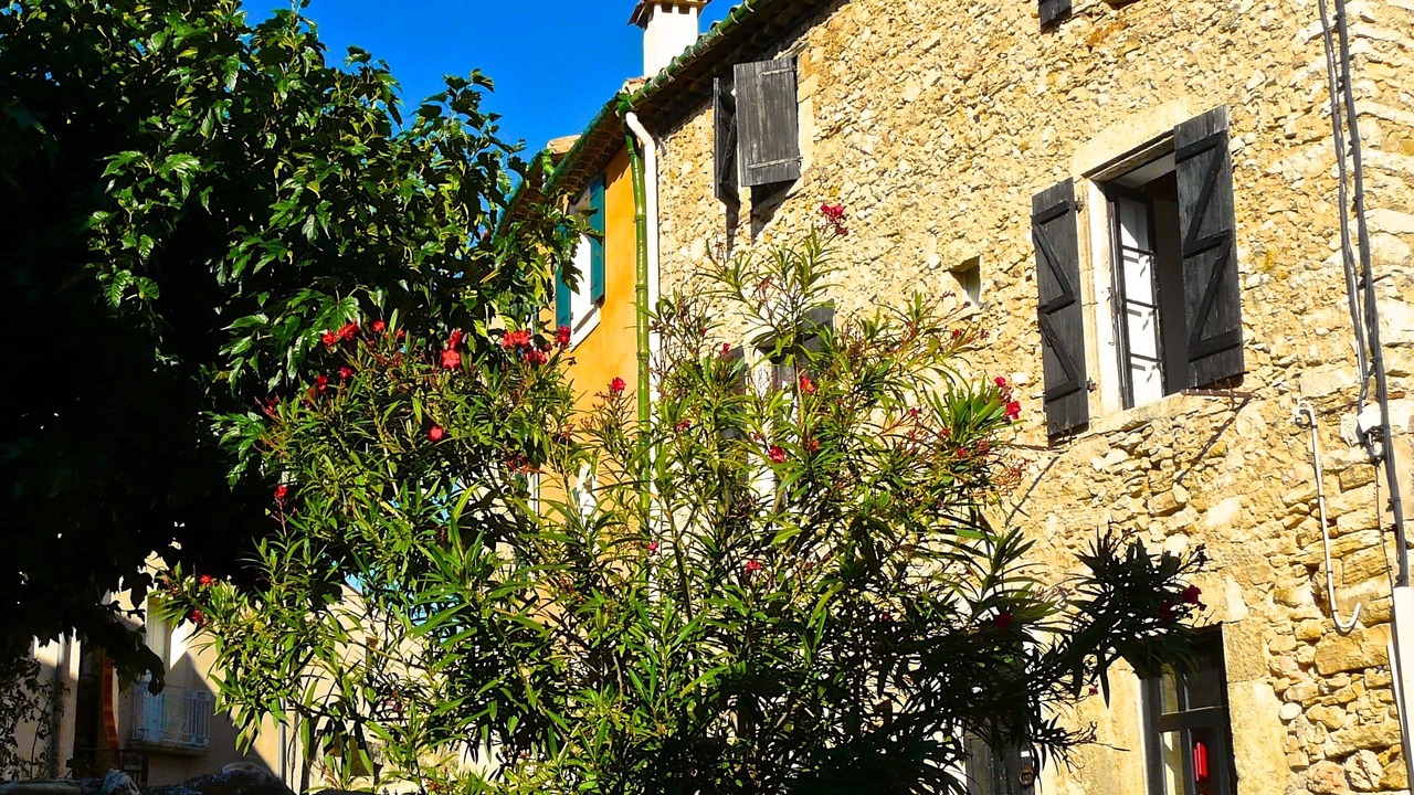 Photo of Outdoor in Puechabon