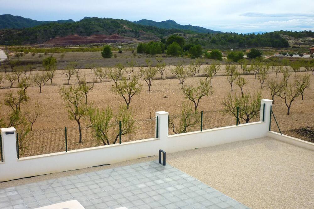 Photo of Others in Abanilla