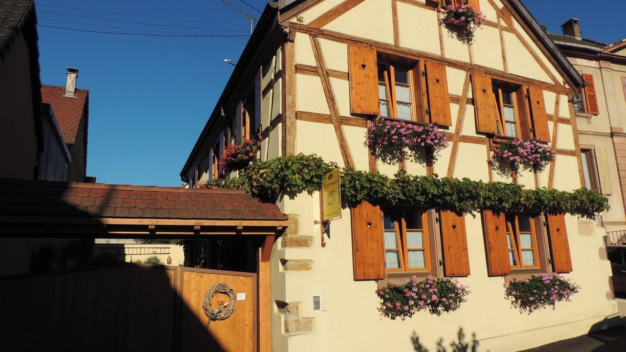 Photo of Outdoor in Beblenheim