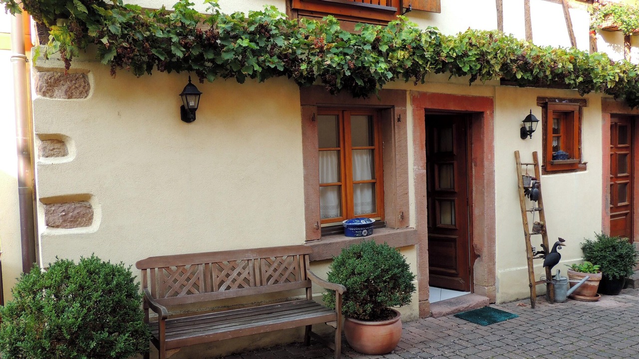 Photo of Outdoor in Beblenheim