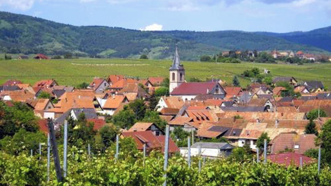 Photo of Outdoor in Beblenheim