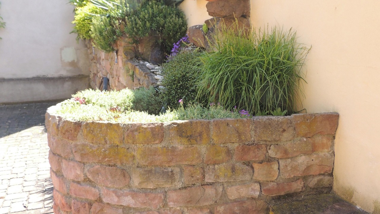 Photo of Outdoor in Beblenheim