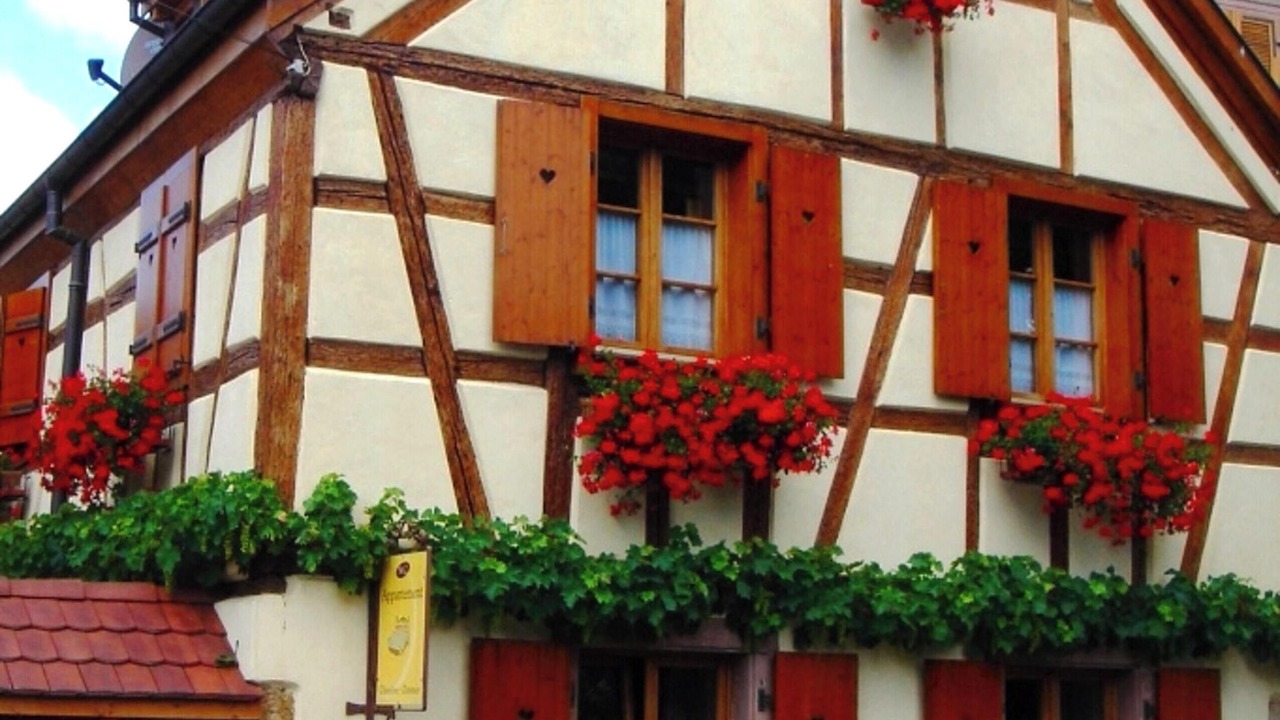 Photo of Outdoor in Beblenheim