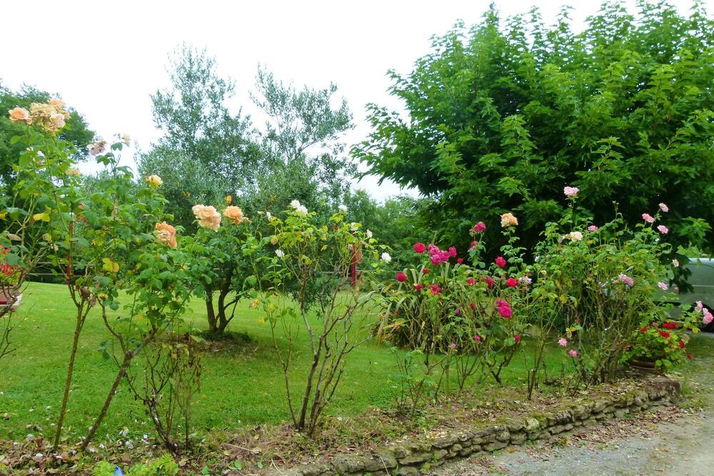 Photo of Outdoor in Ornezan