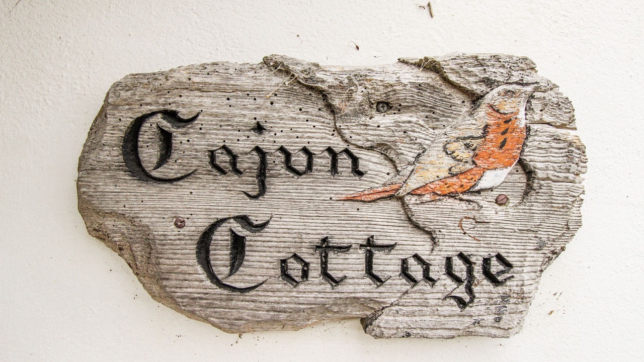 Photo of Others in West Lulworth