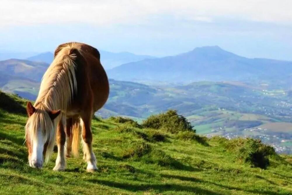 Photo of Others in Lasse