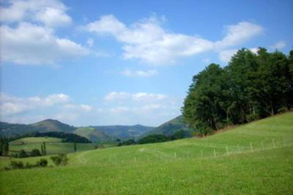 Photo of Others in Lasse