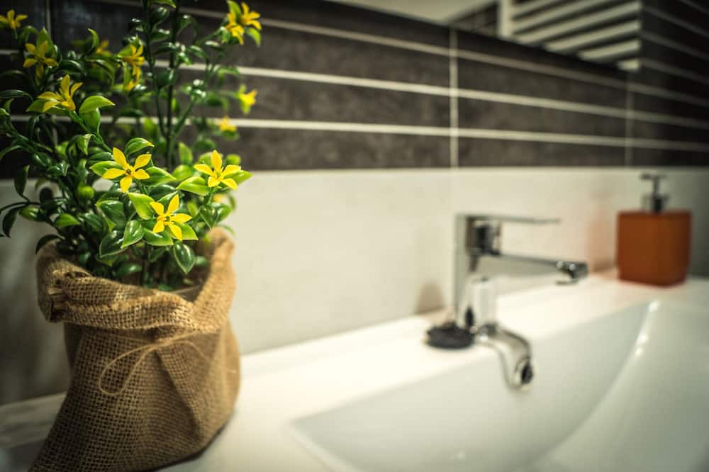 Photo of Bathroom in San Bartolome de Pinares