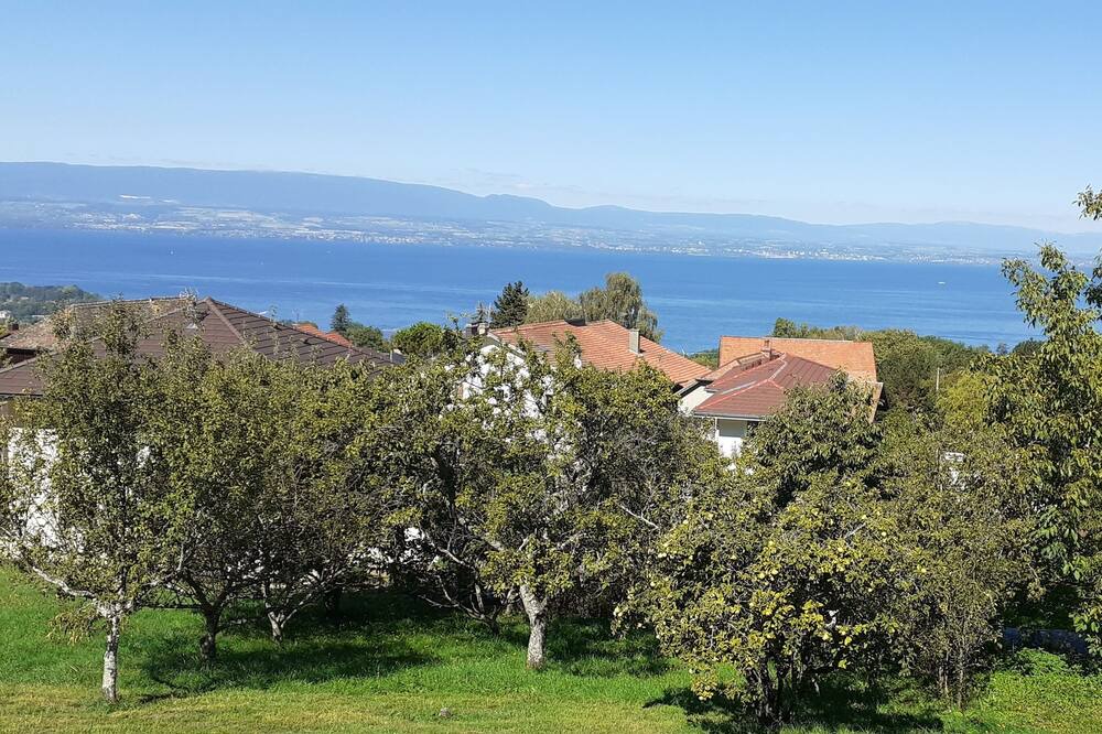 Photo of Others in Publier