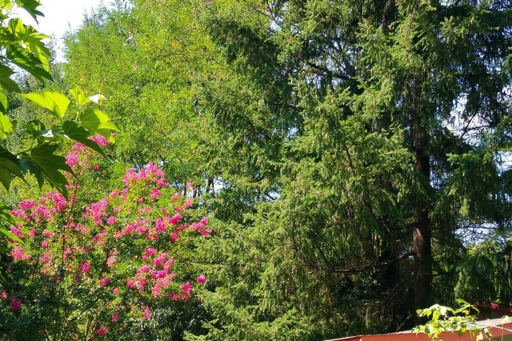 Photo of Outdoor in Saint-Jean-du-Gard