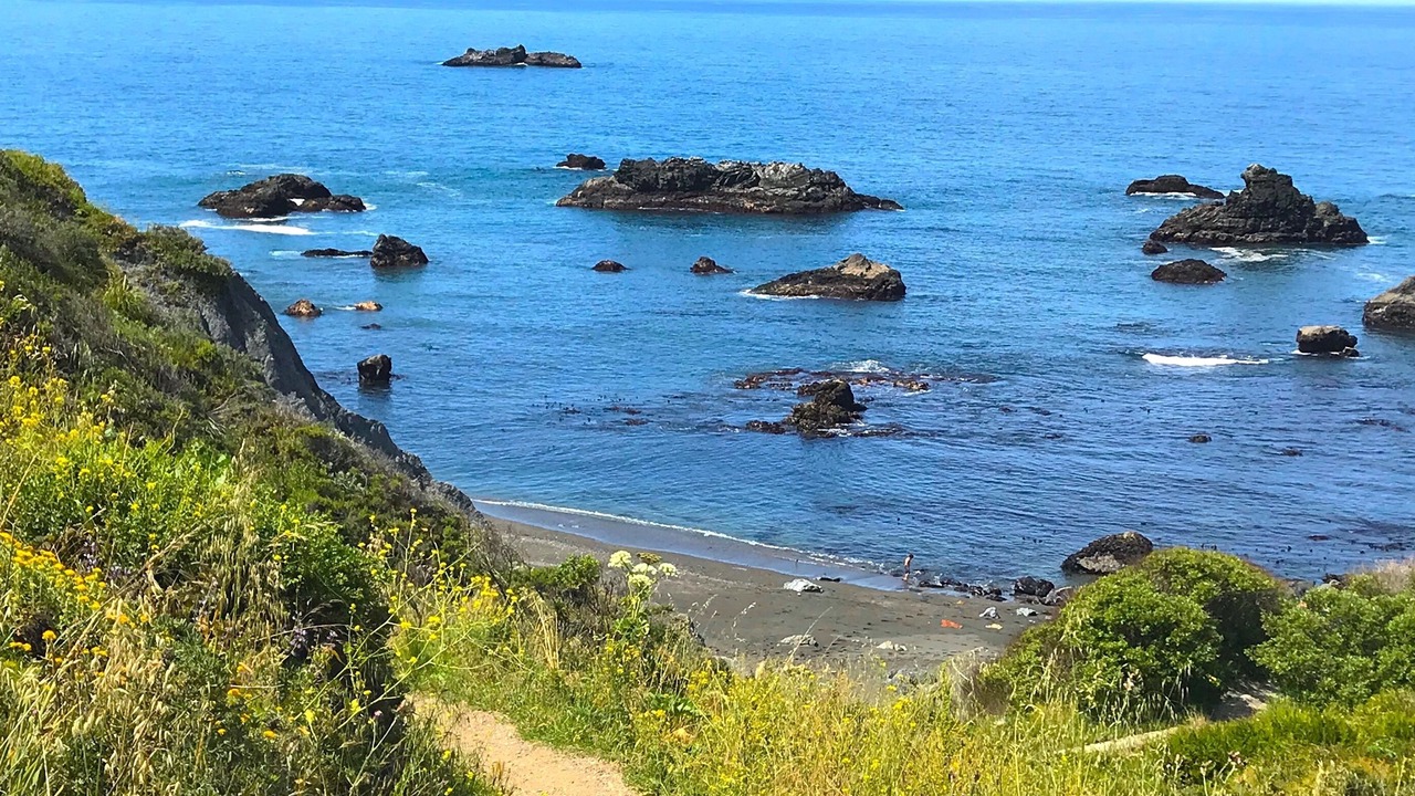 Photo of Others in Occidental