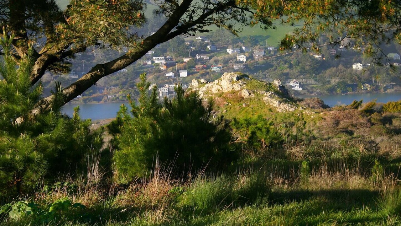 Photo of Outdoor in Occidental