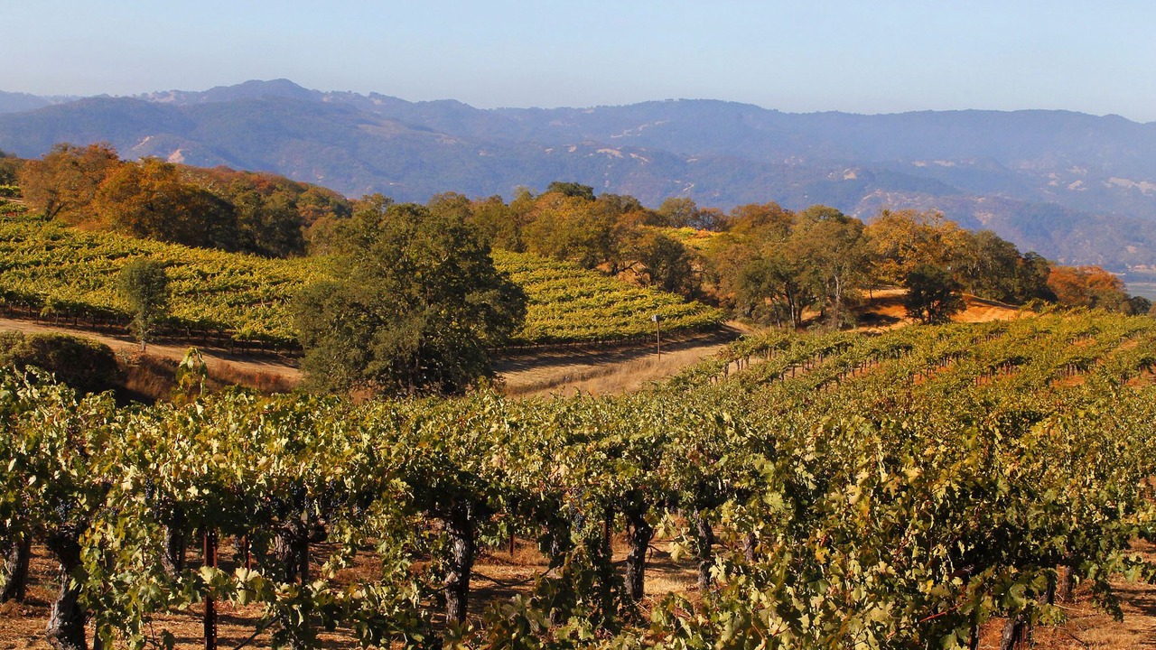 Photo of Outdoor in Occidental