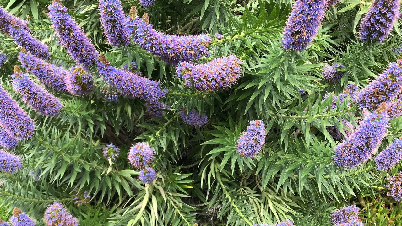Photo of Outdoor in Jenner
