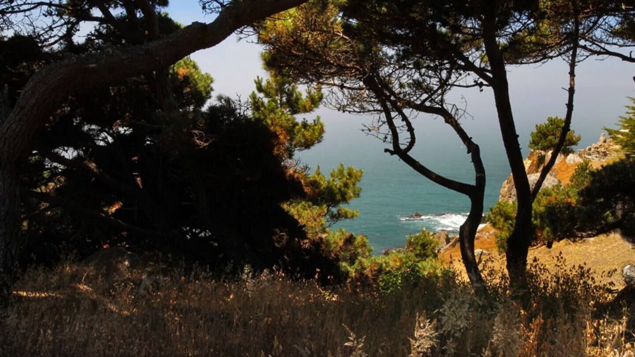 Photo of Outdoor in Jenner