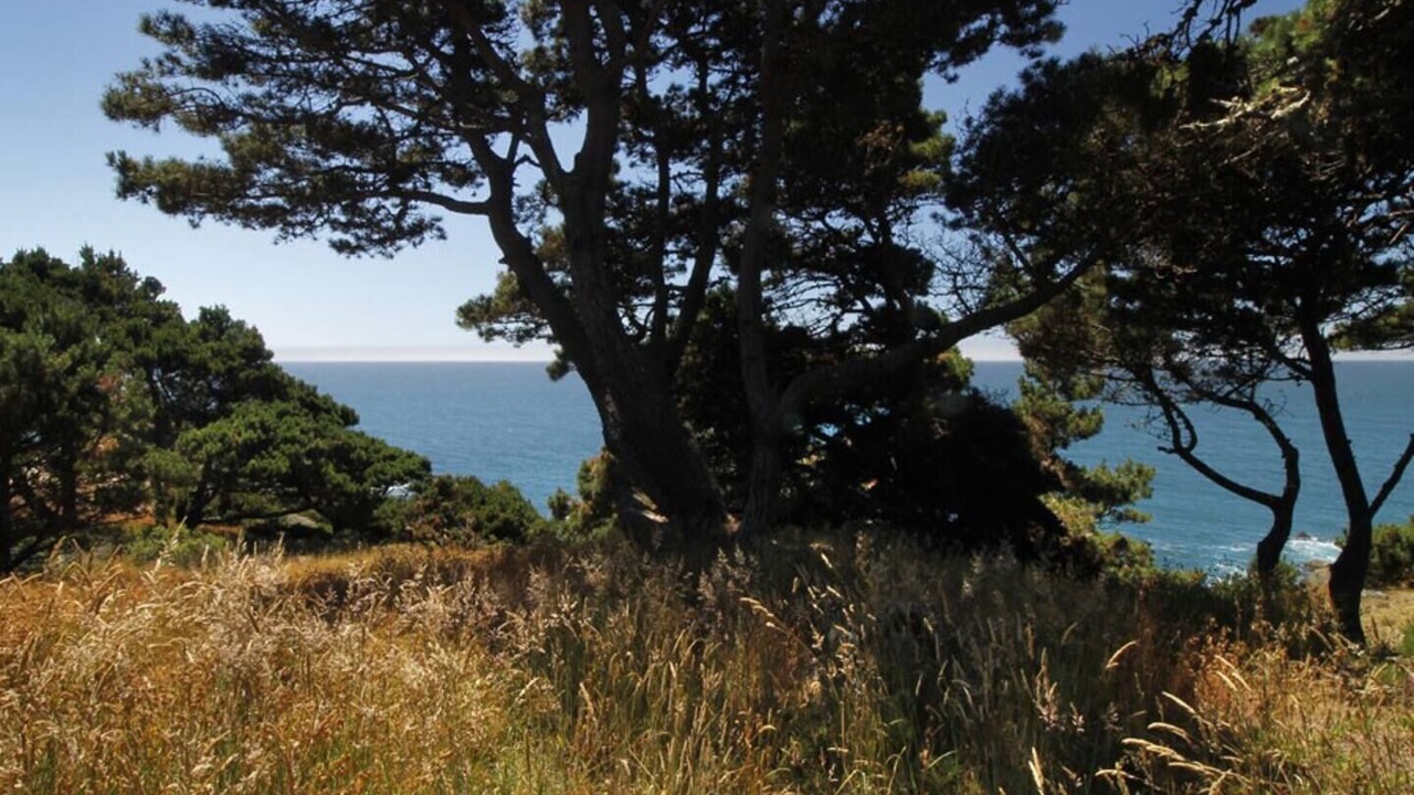 Photo of Outdoor in Jenner