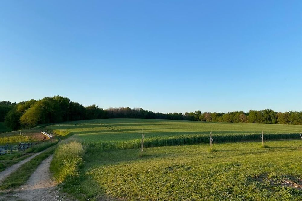 Photo of Others in Marthon