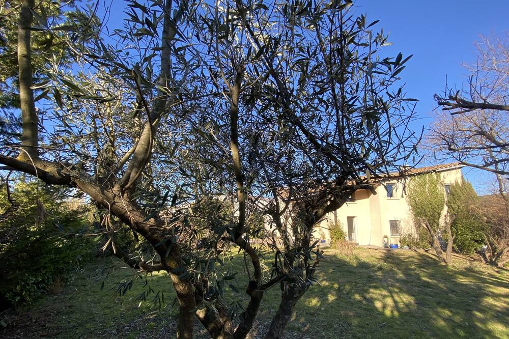 Photo of Outdoor in Les Matelles