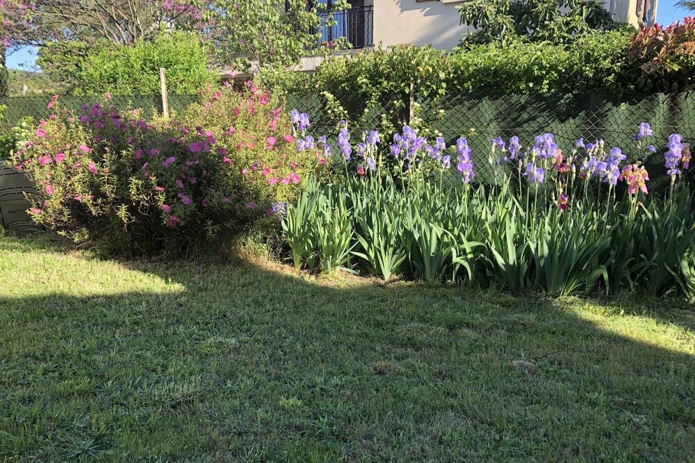 Photo of Outdoor in Les Matelles