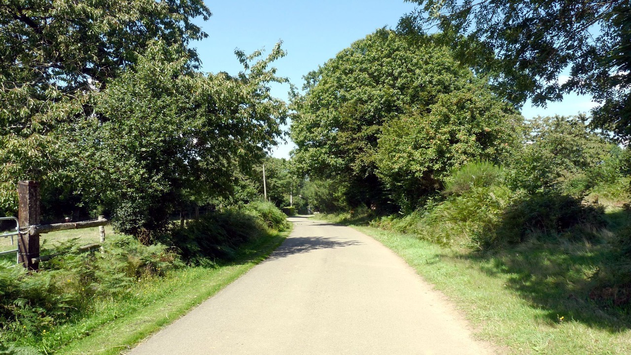 Photo of Outdoor in Saint-Thomas-de-Courceriers