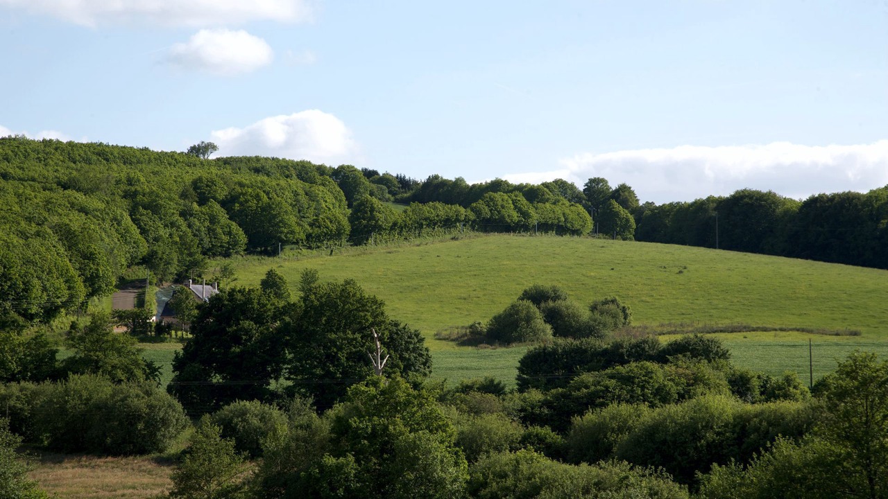 Photo of Others in Saint-Thomas-de-Courceriers