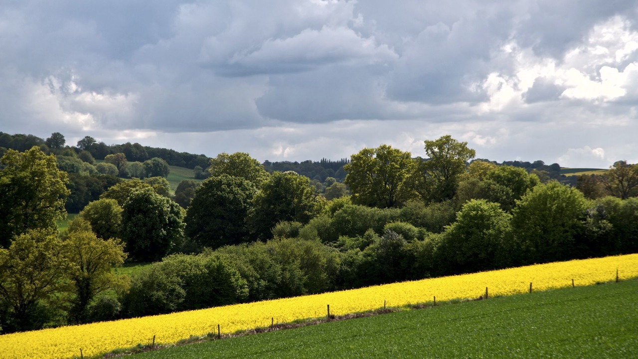 Photo of Others in Saint-Thomas-de-Courceriers