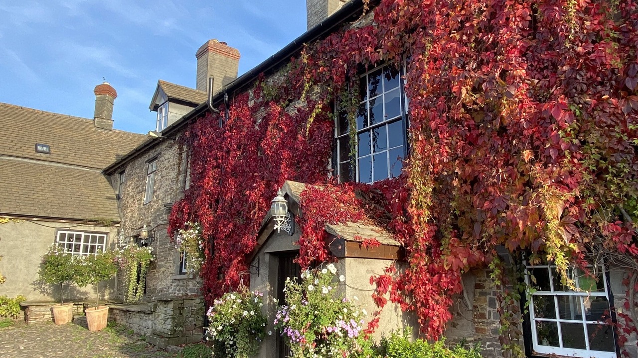 Photo of Outdoor in Three Cocks