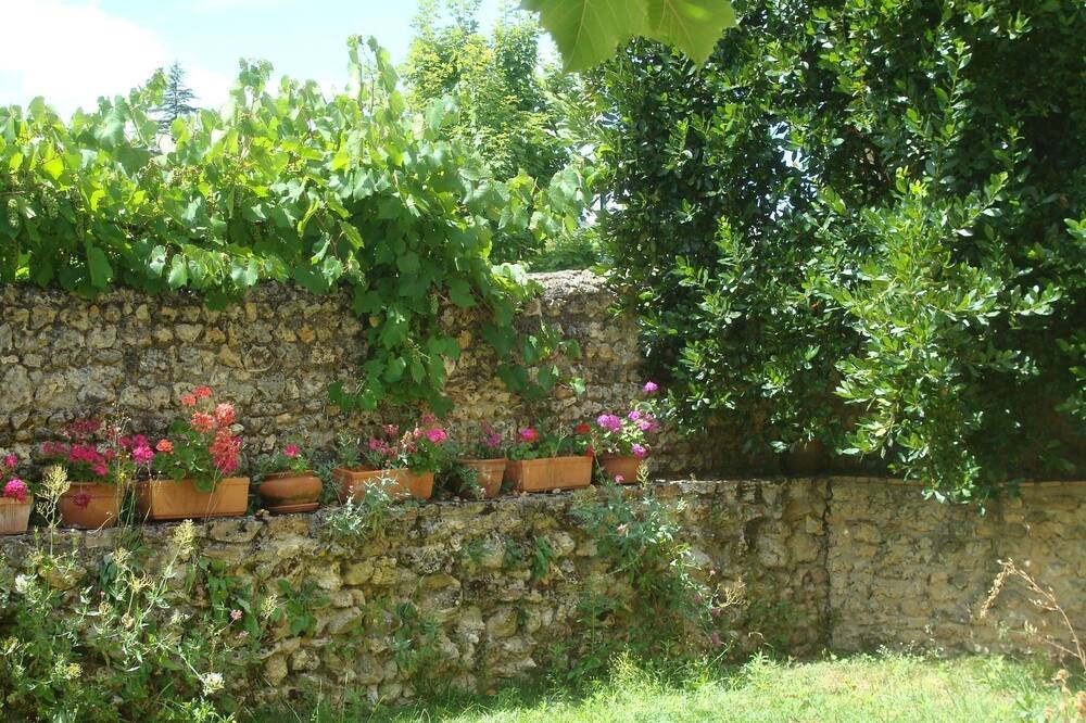 Photo of Outdoor in Vouvray