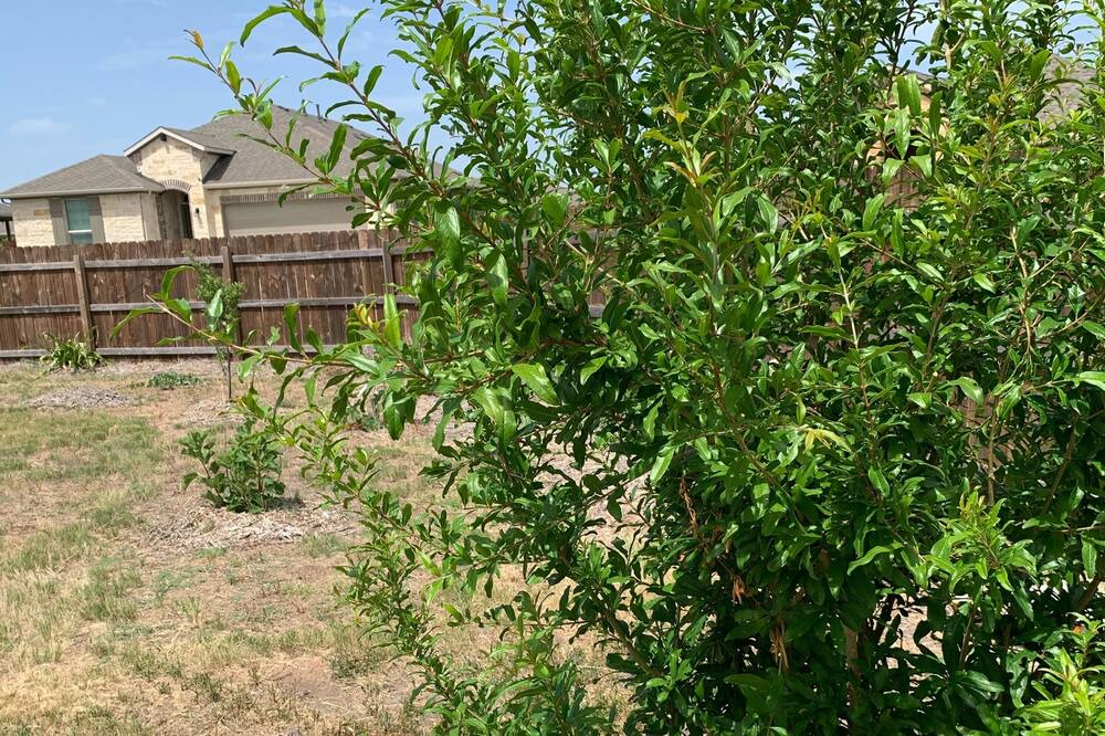 Photo of Outdoor in Pflugerville
