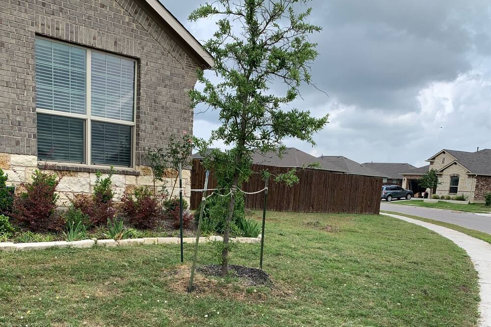 Photo of Outdoor in Pflugerville