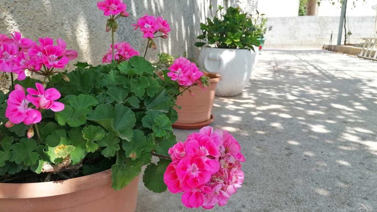 Photo of Outdoor in Putnikovic