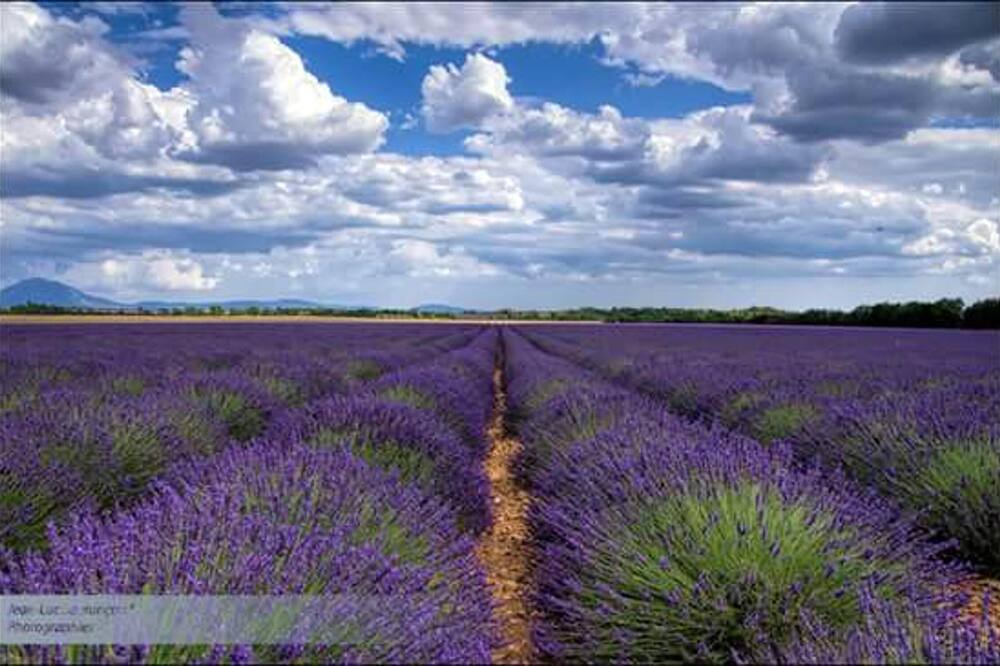 Photo of Outdoor in Revest-des-Brousses