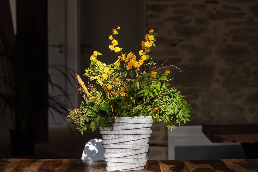 Photo of Outdoor in Saint-Martin-Lalande