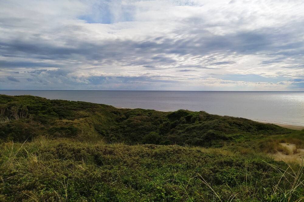 Photo of Others in Attin