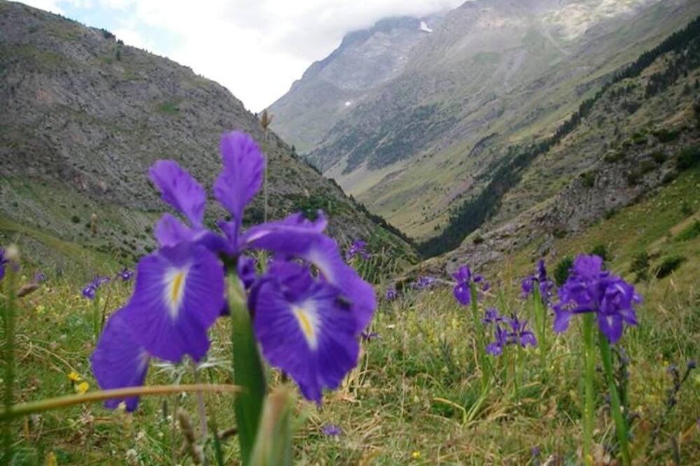 Photo of Others in Belsierre