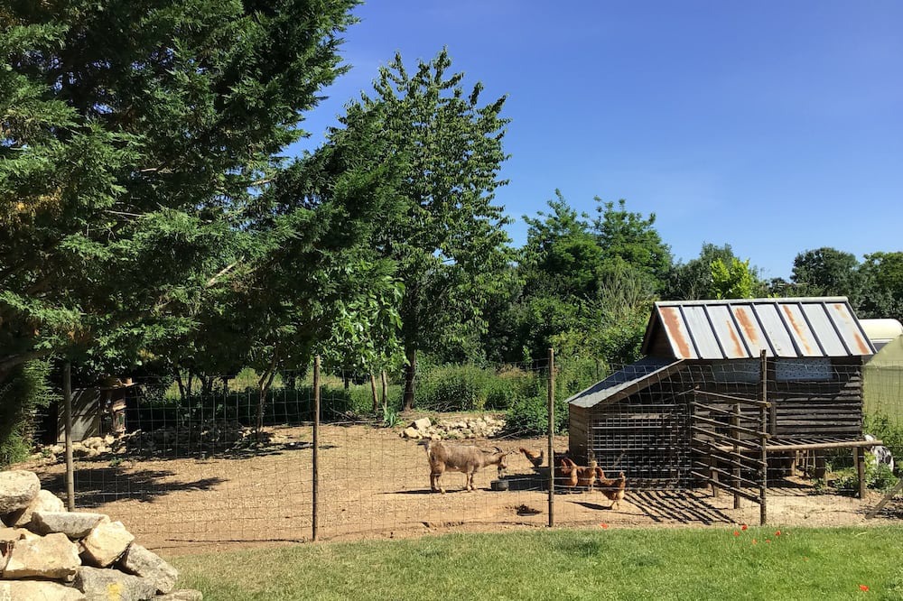Photo of Outdoor in Sainte-Gemme-la-Plaine