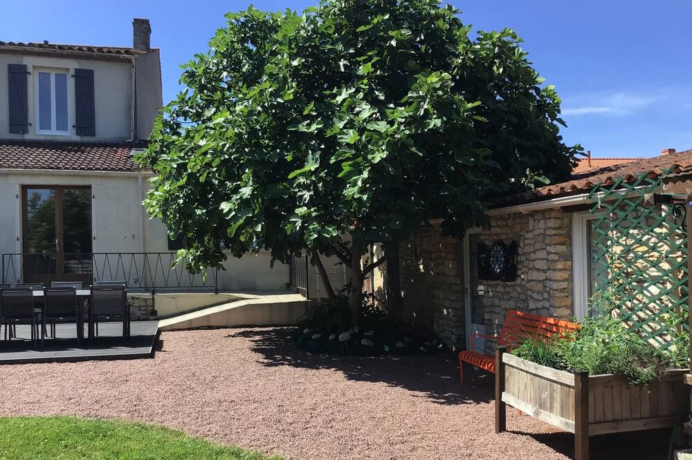 Photo of Outdoor in Sainte-Gemme-la-Plaine