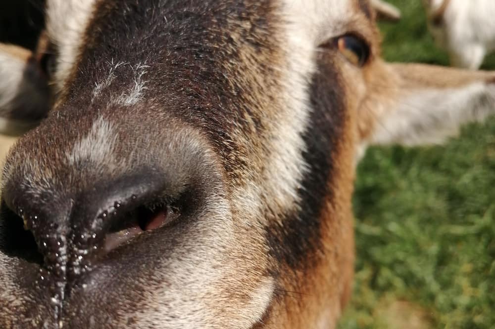 Photo of Outdoor in Aignes