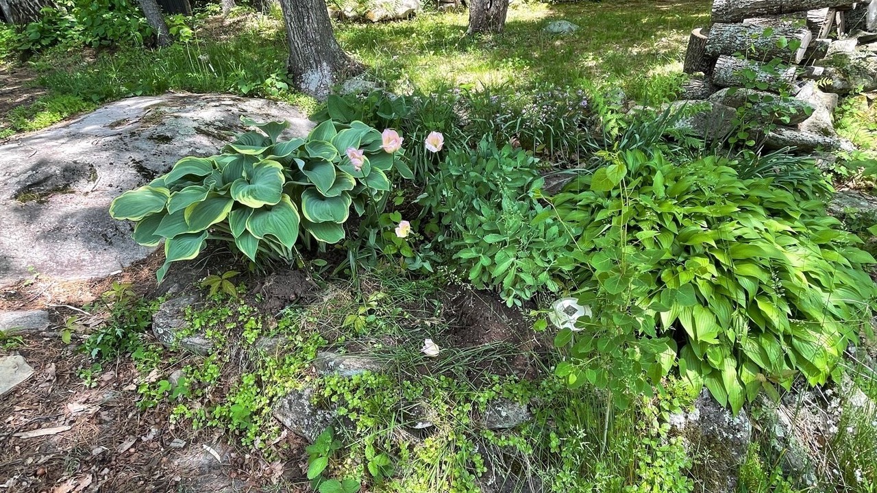 Photo of Outdoor in Gravenhurst